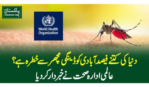 دنیا کی کتنے فیصد آبادی کو ڈینگی مچھرسے خطرہ ہے؟ عالمی ادارہ صحت نے خبردارکر دیا