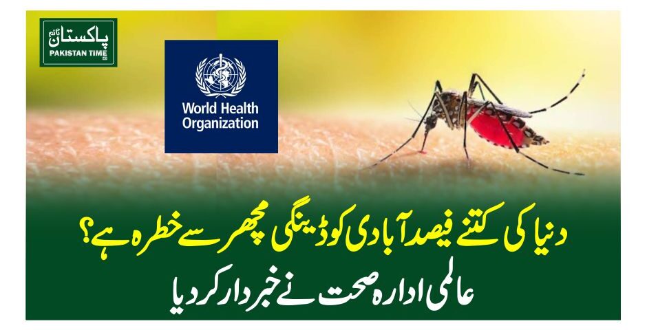 دنیا کی کتنے فیصد آبادی کو ڈینگی مچھرسے خطرہ ہے؟ عالمی ادارہ صحت نے خبردارکر دیا