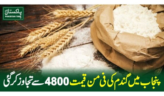 پنجاب میں گندم کی فی من قیمت 4800سے تجاوزکرگئی
