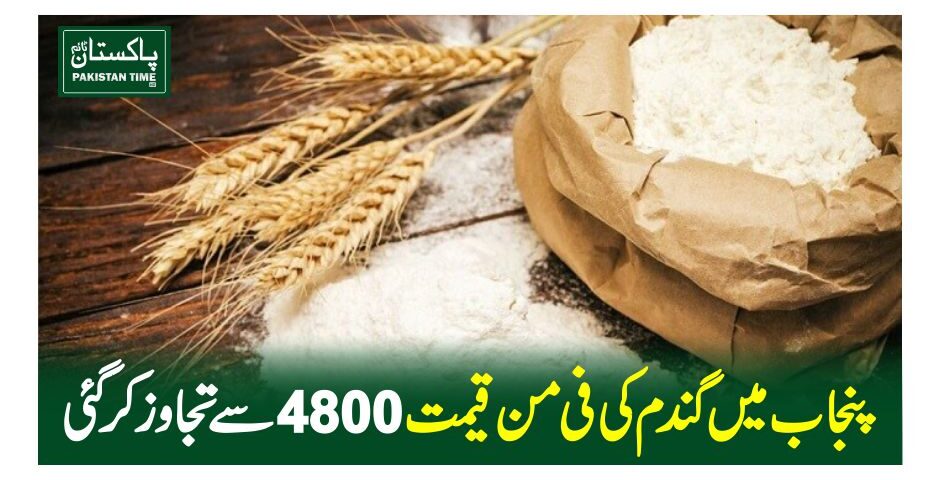 پنجاب میں گندم کی فی من قیمت 4800سے تجاوزکرگئی