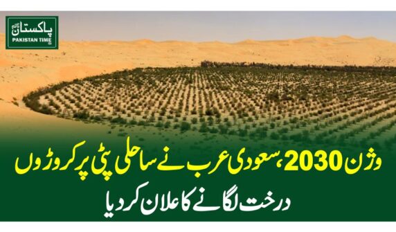 وژن 2030 ،سعودی عرب نے ساحلی پٹی پر کروڑوں درخت لگانے کا علان کردیا