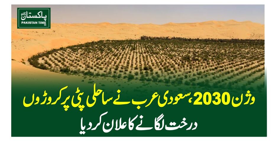 وژن 2030 ،سعودی عرب نے ساحلی پٹی پر کروڑوں درخت لگانے کا علان کردیا