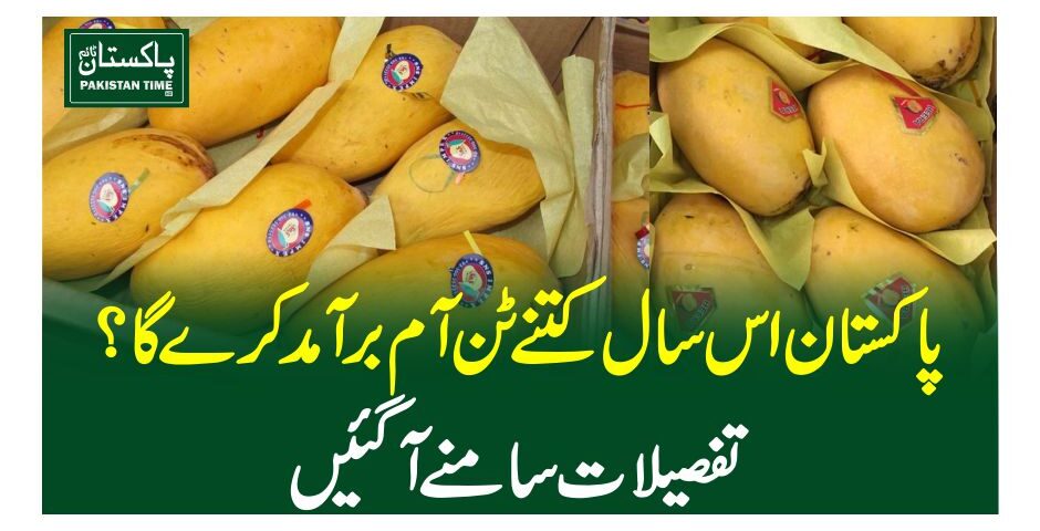 پاکستان اس سال کتنے ٹن آم برآمد کرے گا؟تفصیلات سامنے آگئیں