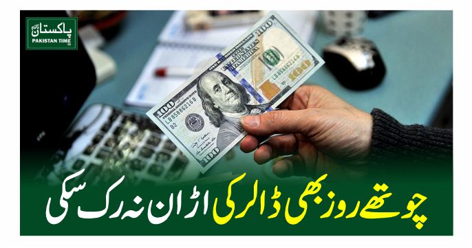 dollar price high