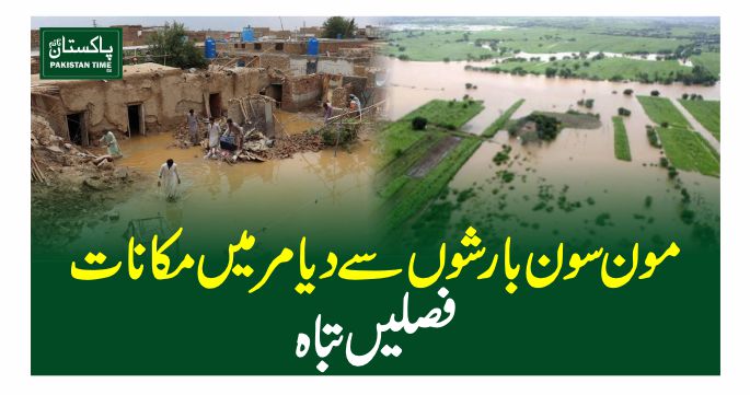 heavy rains in diamir