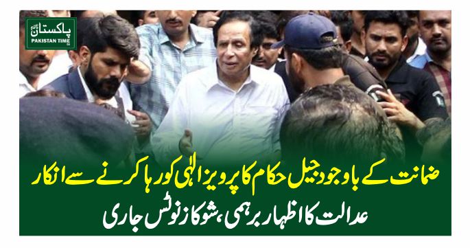 pervez ilahi bail