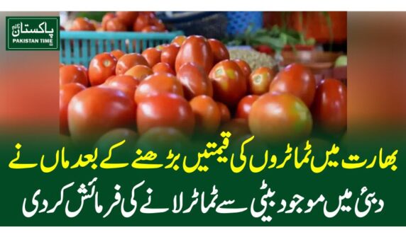 بھارت میں ٹماٹروں کی قیمتیں بڑھنے کے بعد ماں نے دبئی میں موجود بیٹی سے ٹماٹر لانے کی فرمائش کردی