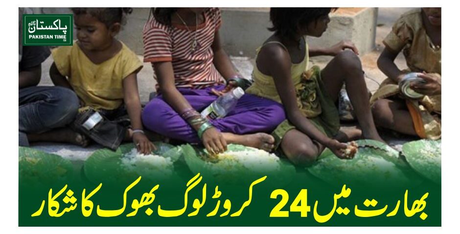 india hunger report
