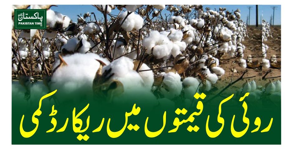 روئی کی قیمتوں میں ریکارڈ کمی