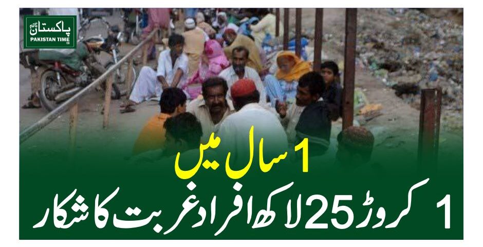 world bank report