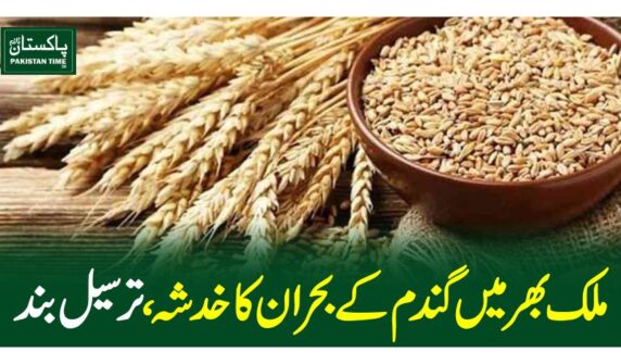 ملک بھر میں گندم کے بحران کا خدشہ، ترسیل بند