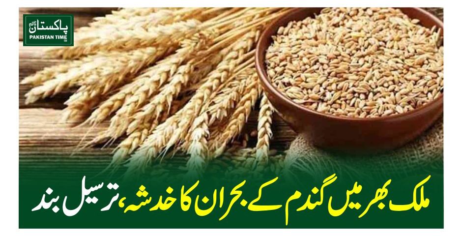 ملک بھر میں گندم کے بحران کا خدشہ، ترسیل بند
