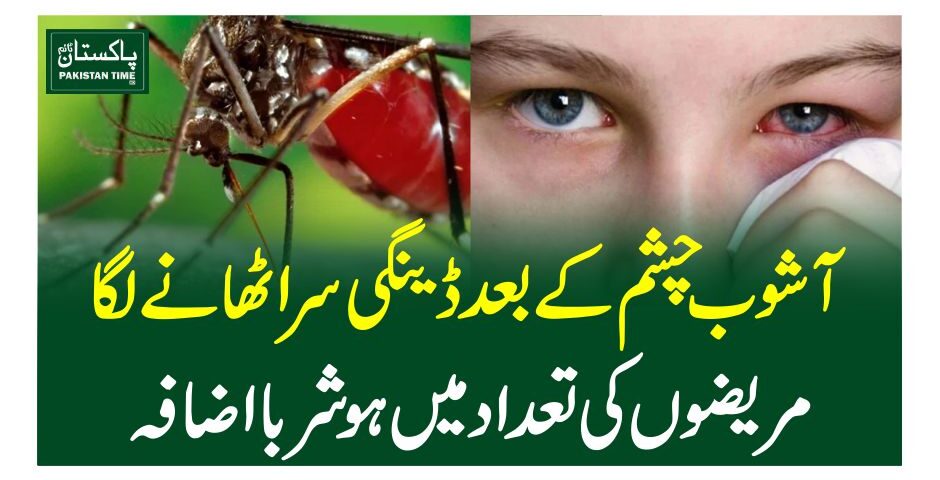 آشوب چشم کے بعد ڈینگی سراٹھانے لگا، مریضوں کی تعداد میں ہوشربااضافہ
