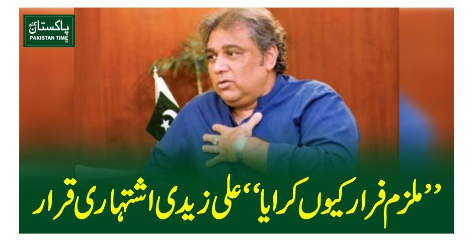ali zaidi