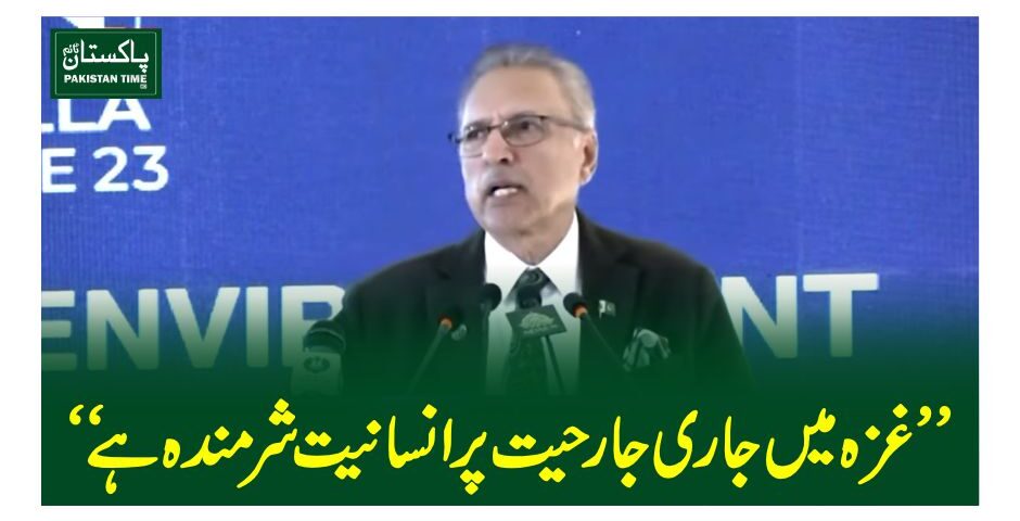alvi