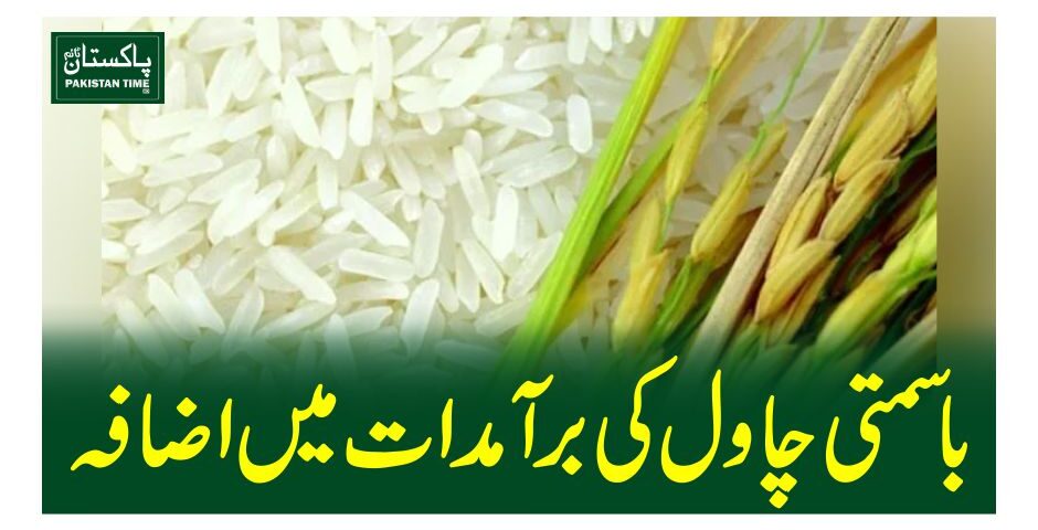 باسمتی چاول کی برآمدات میں اضافہ