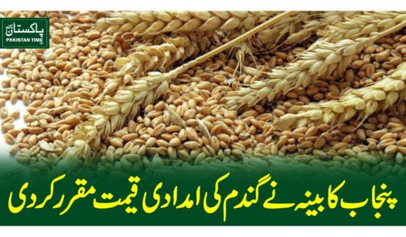 پنجاب کابینہ نے گندم کی امدادی قیمت مقرر کردی