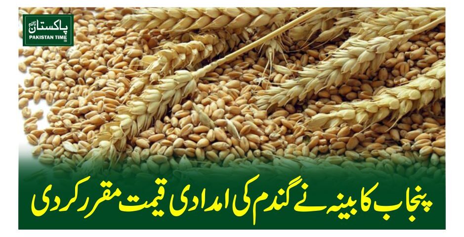 پنجاب کابینہ نے گندم کی امدادی قیمت مقرر کردی