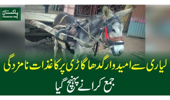 لیاری سے امیدوار گدھا گاڑی پر کاغذات نامزدگی جمع کرانے پہنچ گیا