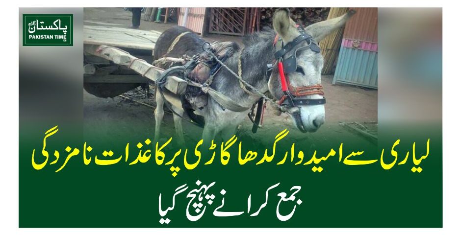 لیاری سے امیدوار گدھا گاڑی پر کاغذات نامزدگی جمع کرانے پہنچ گیا