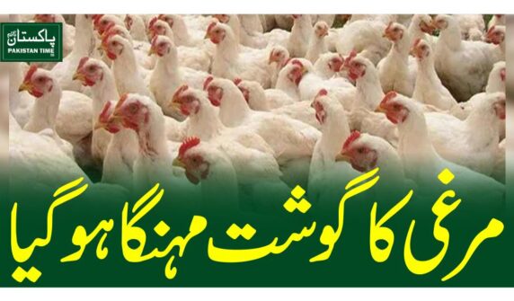 مرغی کا گوشت مہنگا ہو گیا