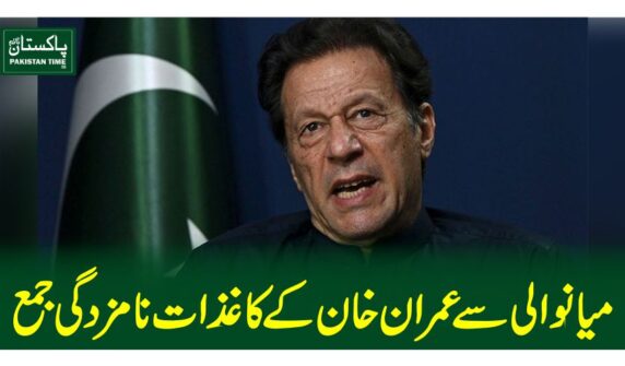 میانوالی سے عمران خان کے کاغذات نامزدگی جمع