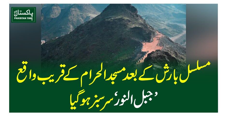 مسلسل بارش کے بعدمسجد الحرام کے قریب واقع 'جبل النور 'سرسبز ہوگیا