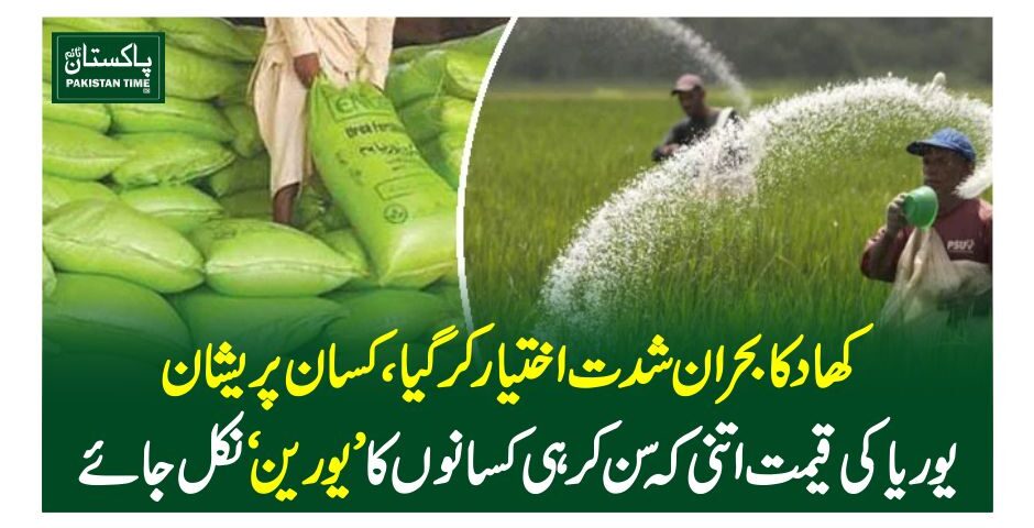 کھاد کا بحران شدت اختیار کرگیا،کسان پریشان،یوریا کی قیمت اتنی کہ سن کر ہی کسانوں کا ’یورین‘ نکل جائے
