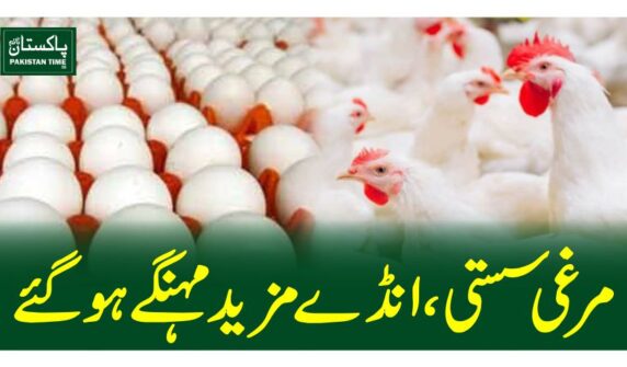 مرغی سستی، انڈے مزید مہنگے ہوگئے