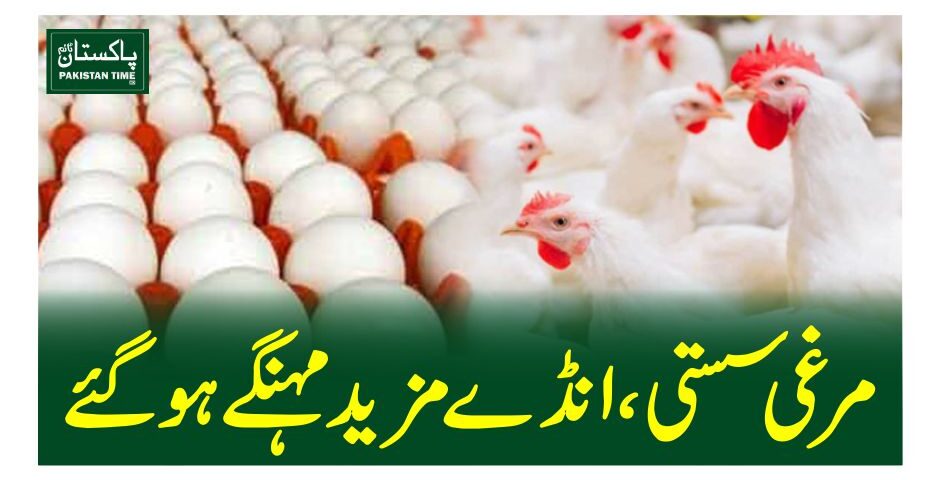 مرغی سستی، انڈے مزید مہنگے ہوگئے
