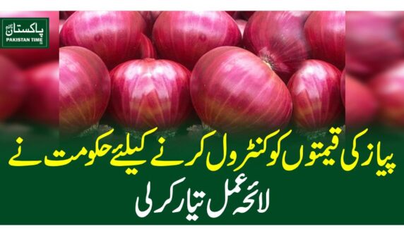 پیاز کی قیمتوں کوکنٹرول کرنے کیلئے حکومت نے لائحہ عمل تیارکرلی