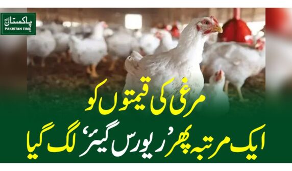 مرغی کی قیمتوں کو ایک مرتبہ پھر ’ریورس گیئر‘ لگ گیا