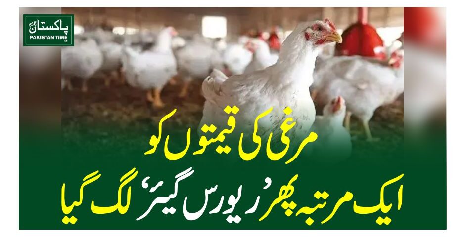 مرغی کی قیمتوں کو ایک مرتبہ پھر ’ریورس گیئر‘ لگ گیا