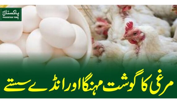 مرغی کا گوشت مہنگااور انڈے سستے