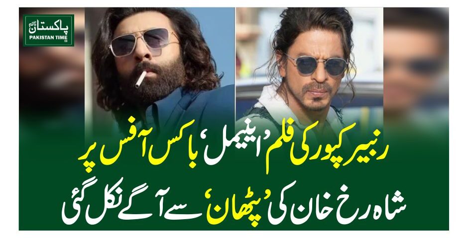 رنبیر کپور کی فلم’ اینیمل‘ باکس آفس پر شاہ رخ خان کی’ پٹھان ‘سے آگے نکل گئی