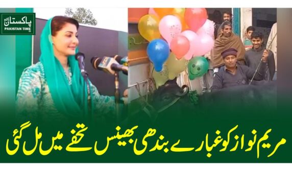 مریم نواز کو غبارے بندھی بھینس تحفے میں مل گئی