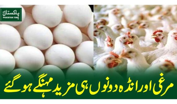 مرغی اور انڈہ دونوں ہی مزیدمہنگے ہوگئے