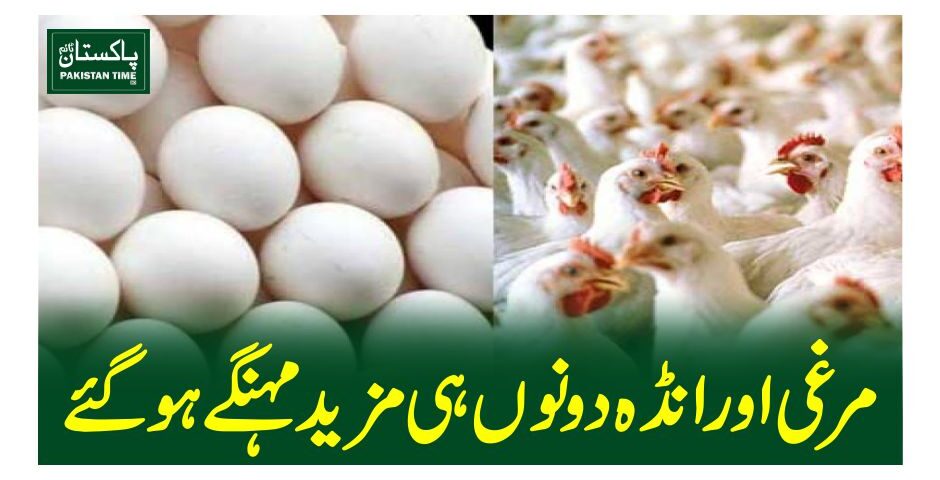 مرغی اور انڈہ دونوں ہی مزیدمہنگے ہوگئے