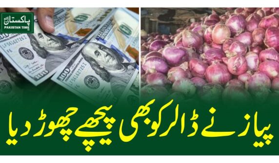 پیاز نے ڈالر کو بھی پیچھے چھوڑ دیا
