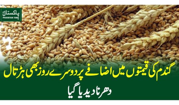 گندم کی قیمتوں میں اضافے پر دوسرے روز بھی ہڑتال، دھرنا دیدیا گیا