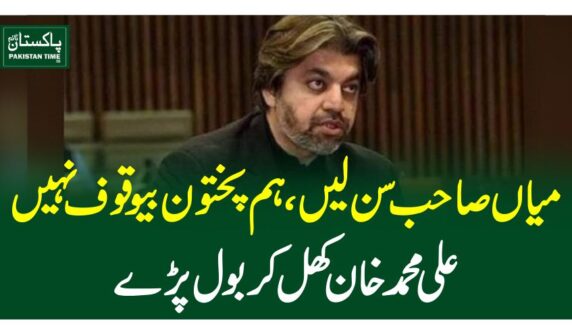 میاں صاحب سن لیں، ہم پختون بیوقوف نہیں، علی محمد خان کھل کر بول پڑے