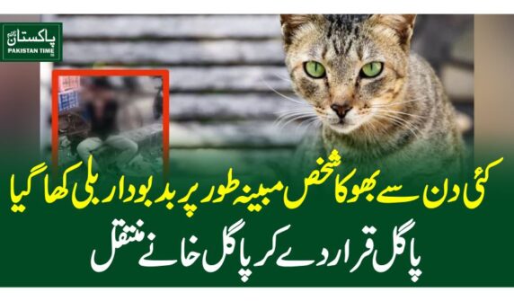 کئی دن سے بھوکا شخص مبینہ طورپربدبودار بلی کھاگیا، پاگل قرار دے کر پاگل خانے منتقل نئی
