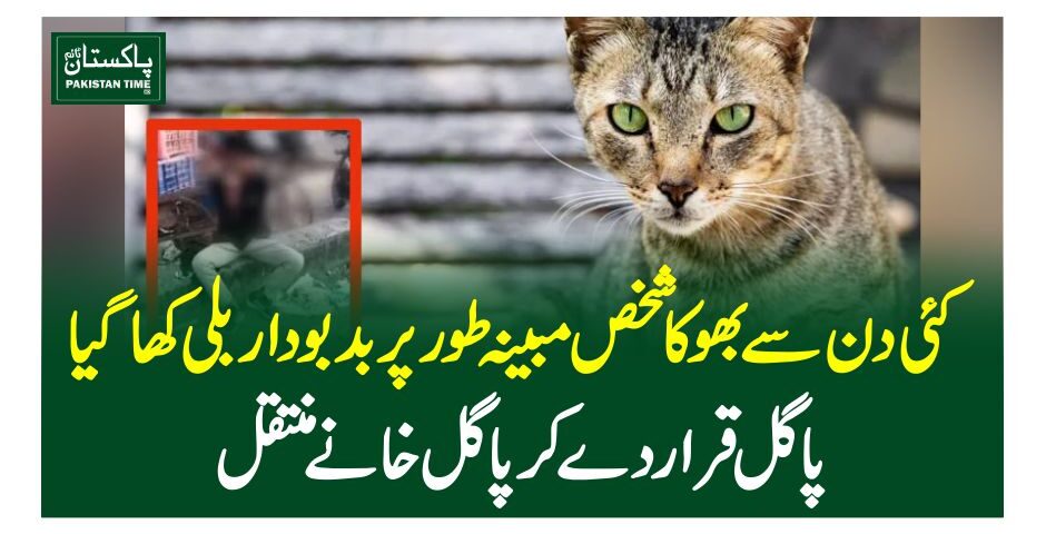 کئی دن سے بھوکا شخص مبینہ طورپربدبودار بلی کھاگیا، پاگل قرار دے کر پاگل خانے منتقل نئی