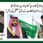 "سعودی وزیر دفاع کا دورہ پاکستان اور سپہ سالار قوم کا دورہ سعودی عرب پاک سعودی تعلقات کے روشن مستقبل کی دلیل "
