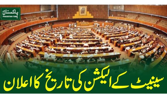 senate election