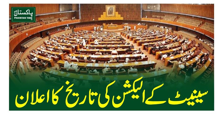 senate election