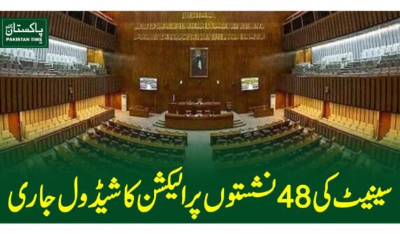 senate election