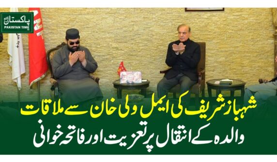shehbaz aimel wali meeting