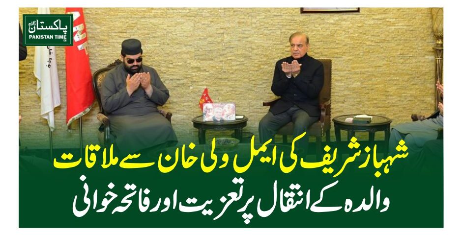 shehbaz aimel wali meeting