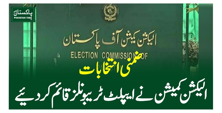 ضمنی انتخابات، الیکشن کمیشن نے ایپلٹ ٹریبونلز قائم کر دیئے